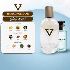 Imagination Absolute